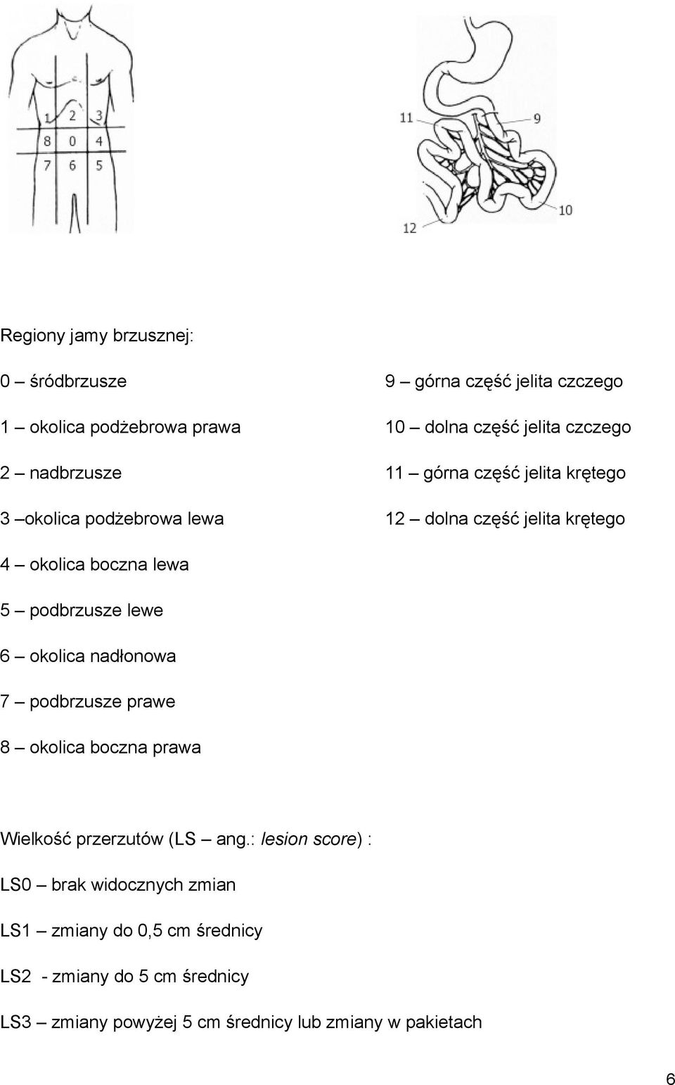 podbrzusze lewe 6 okolica nadłonowa 7 podbrzusze prawe 8 okolica boczna prawa Wielkość przerzutów (LS ang.