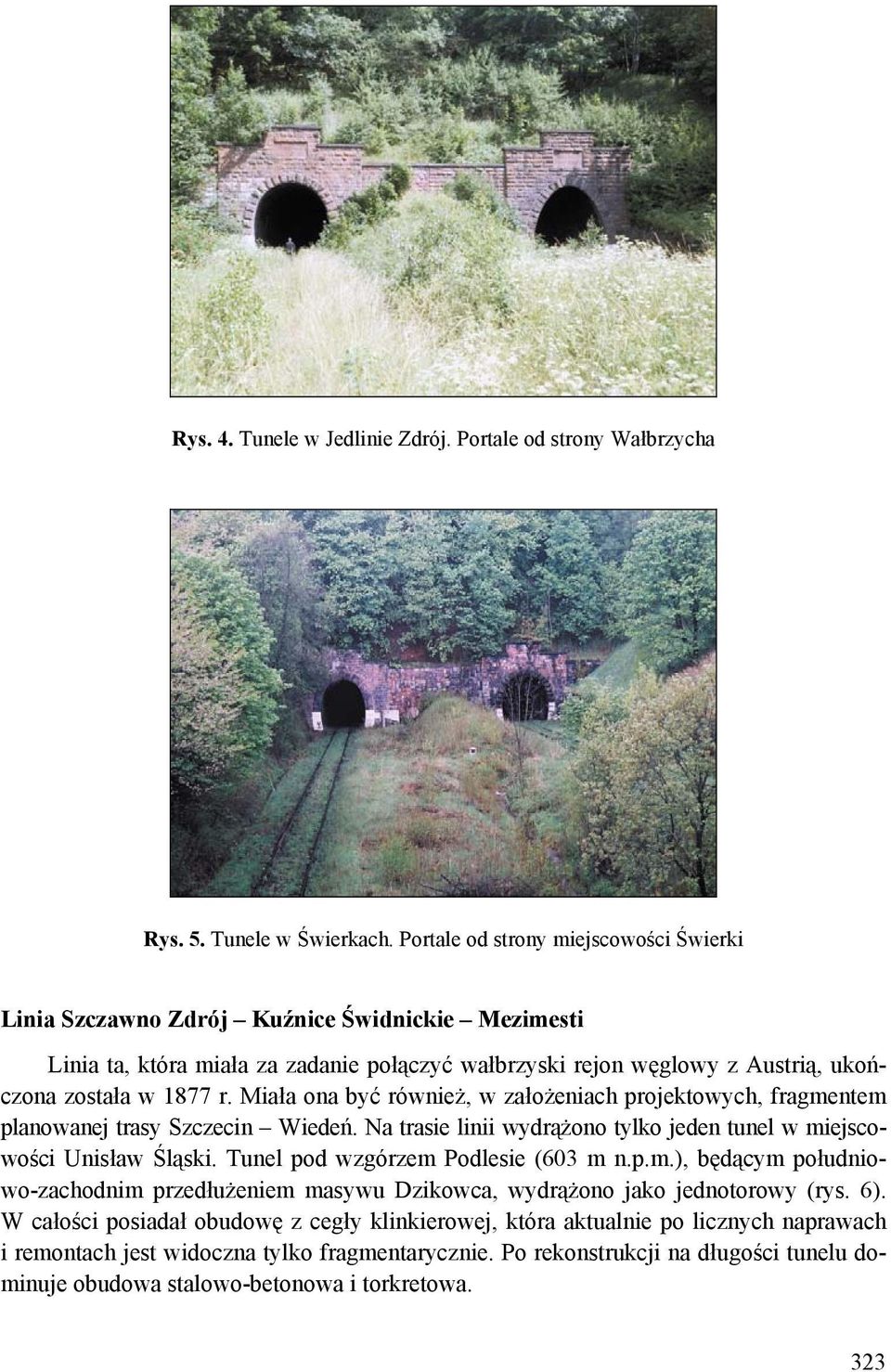 Miała ona być również, w założeniach projektowych, fragmentem planowanej trasy Szczecin Wiedeń. Na trasie linii wydrążono tylko jeden tunel w miejscowości Unisław Śląski.