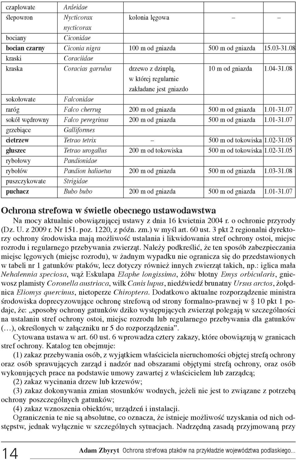 08 w której regularnie zak³adane jest gniazdo soko³owate Falconidae raróg Falco cherrug 200 m od gniazda 500 m od gniazda 1.01-31.