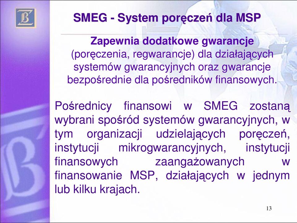 Po rednicy finansowi w SMEG zostan wybrani spo ród systemów gwarancyjnych, w tym organizacji udzielaj cych