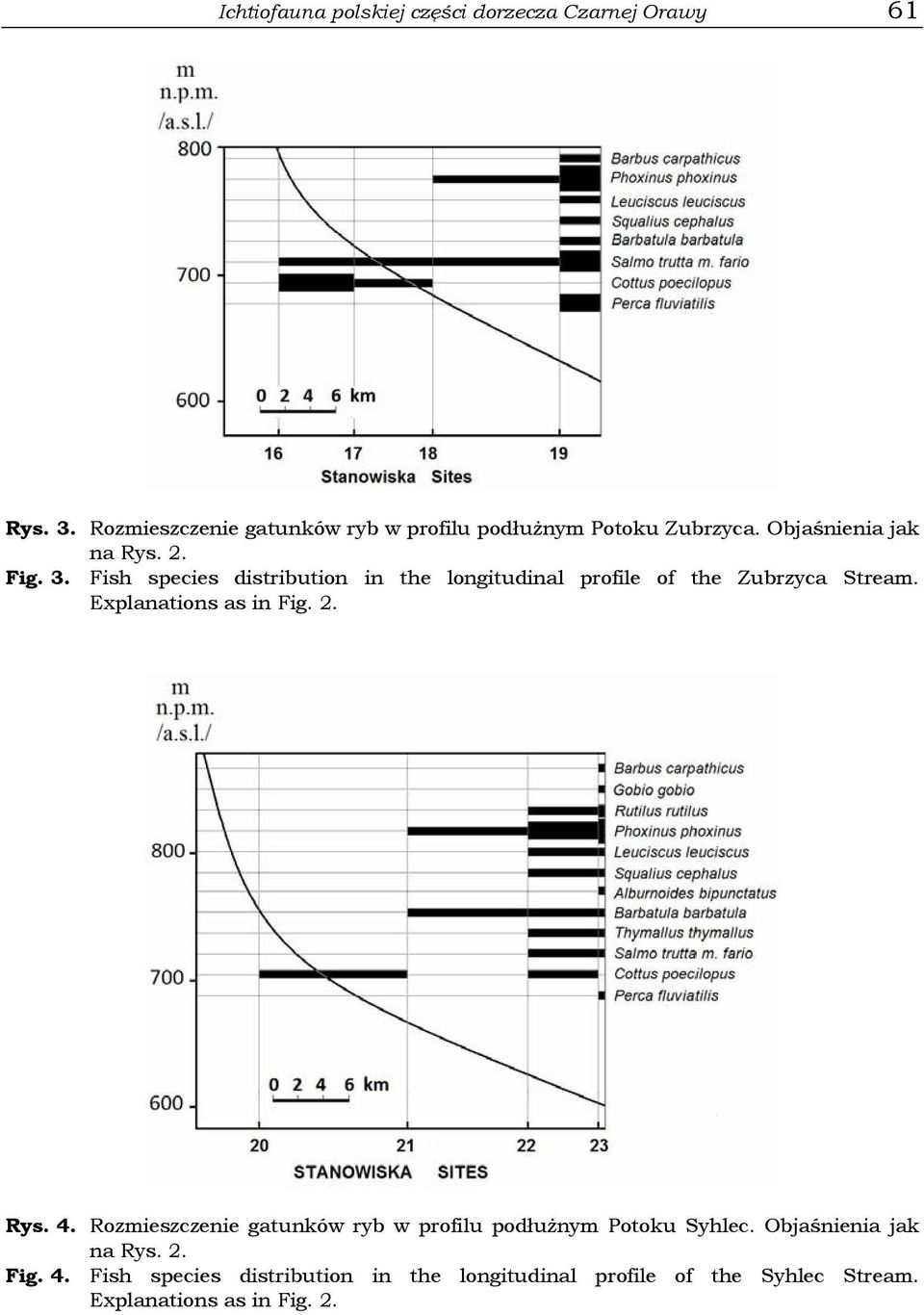 Fish species distribution in the longitudinal profile of the Zubrzyca Stream. Explanations as in Fig. 2. Rys. 4.