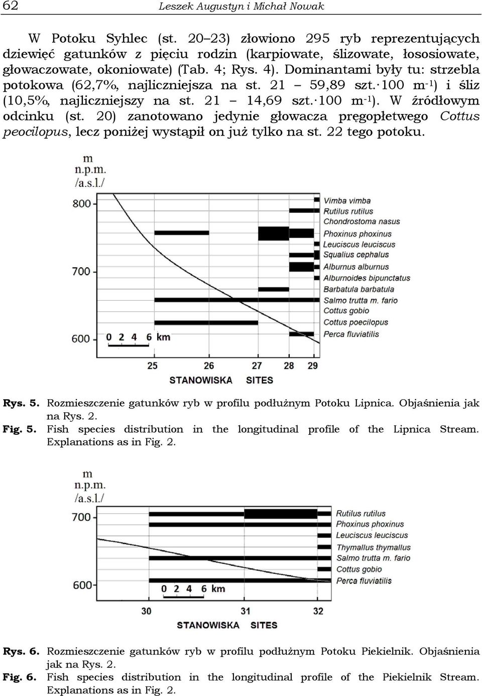 20) zanotowano jedynie głowacza pręgopłetwego Cottus peocilopus, lecz poniżej wystąpił on już tylko na st. 22 tego potoku. Rys. 5. Rozmieszczenie gatunków ryb w profilu podłużnym Potoku Lipnica.