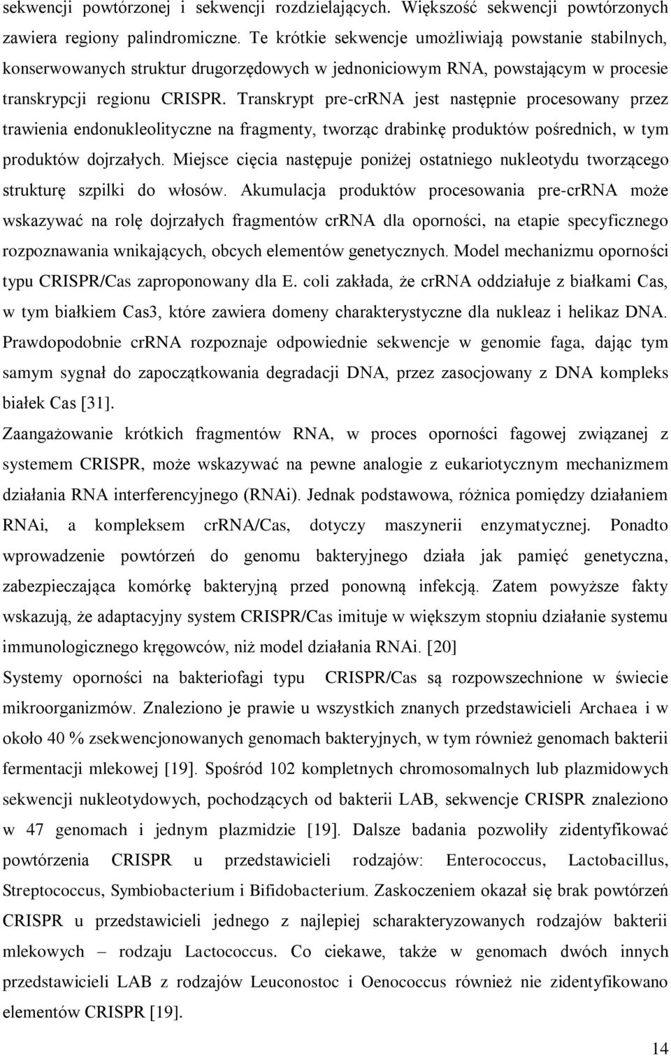 Transkrypt pre-crrna jest następnie procesowany przez trawienia endonukleolityczne na fragmenty, tworząc drabinkę produktów pośrednich, w tym produktów dojrzałych.