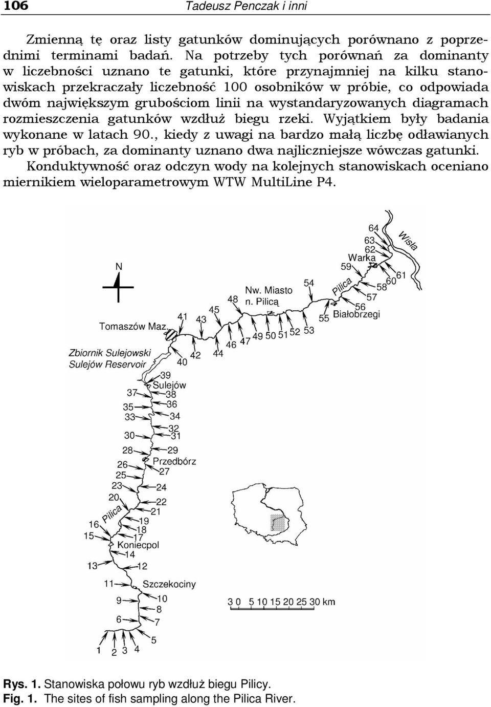 grubościom linii na wystandaryzowanych diagramach rozmieszczenia gatunków wzdłuŝ biegu rzeki. Wyjątkiem były badania wykonane w latach 90.