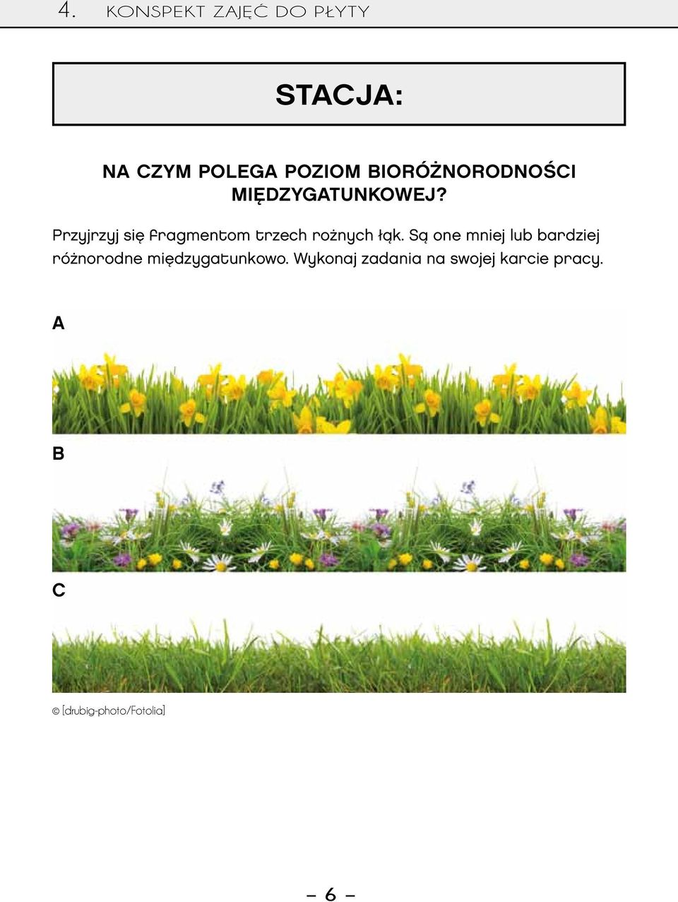 Są one mniej lub bardziej różnorodne międzygatunkowo.