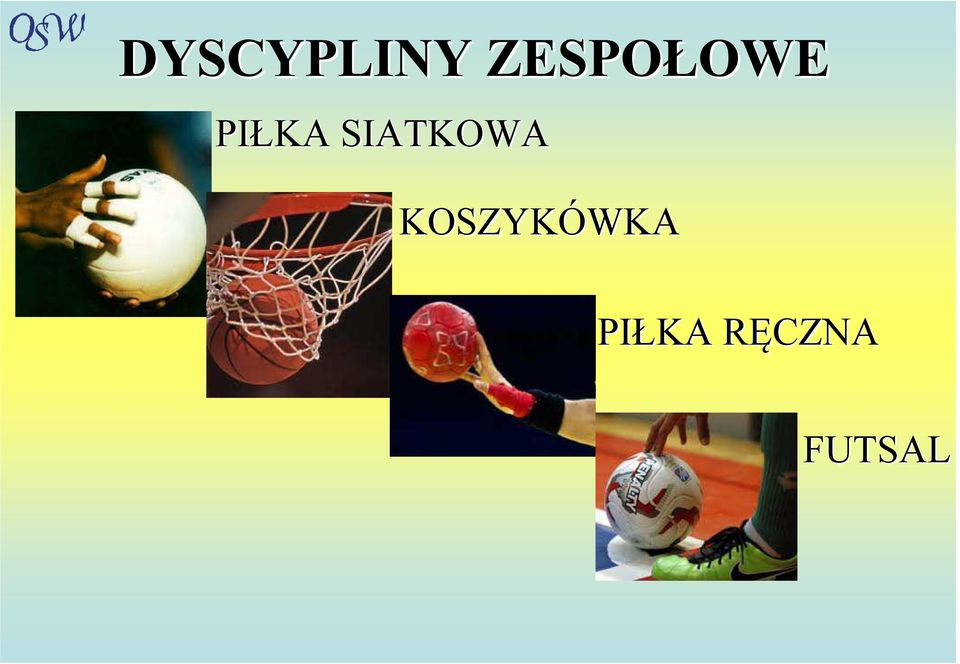 PIŁKA SIATKOWA