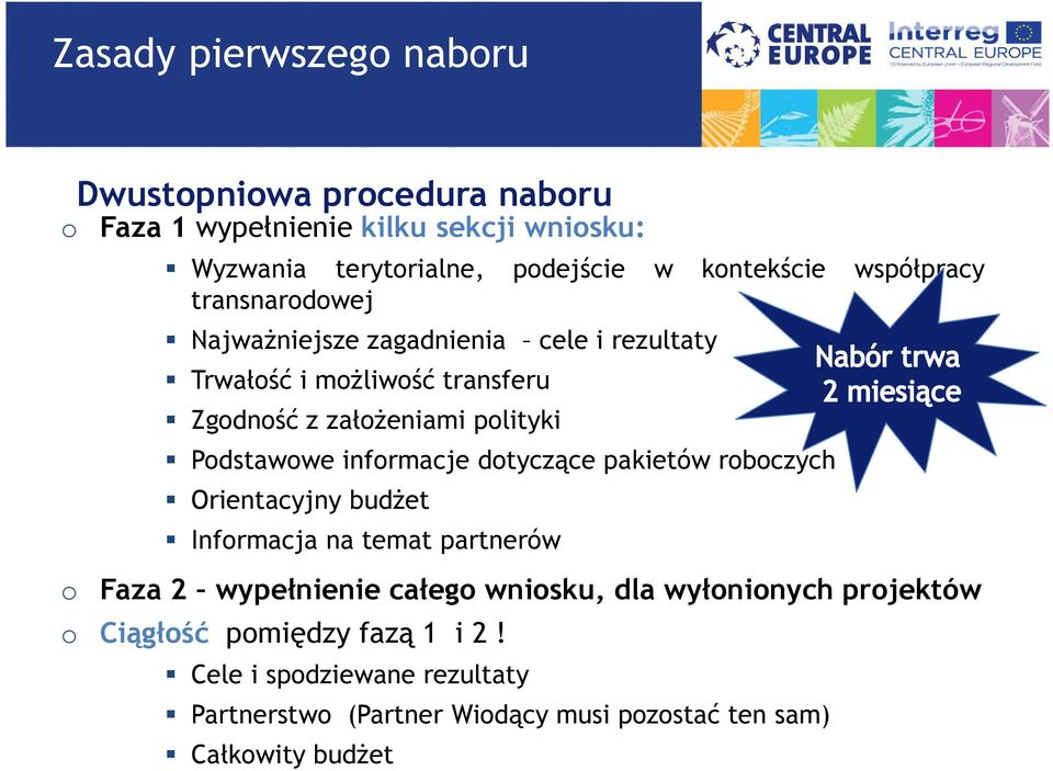 Podstawowe informacje dotyczące pakietów roboczych Orientacyjny budżet Informacja na temat partnerów o Faza 2 wypełnienie całego wniosku, dla