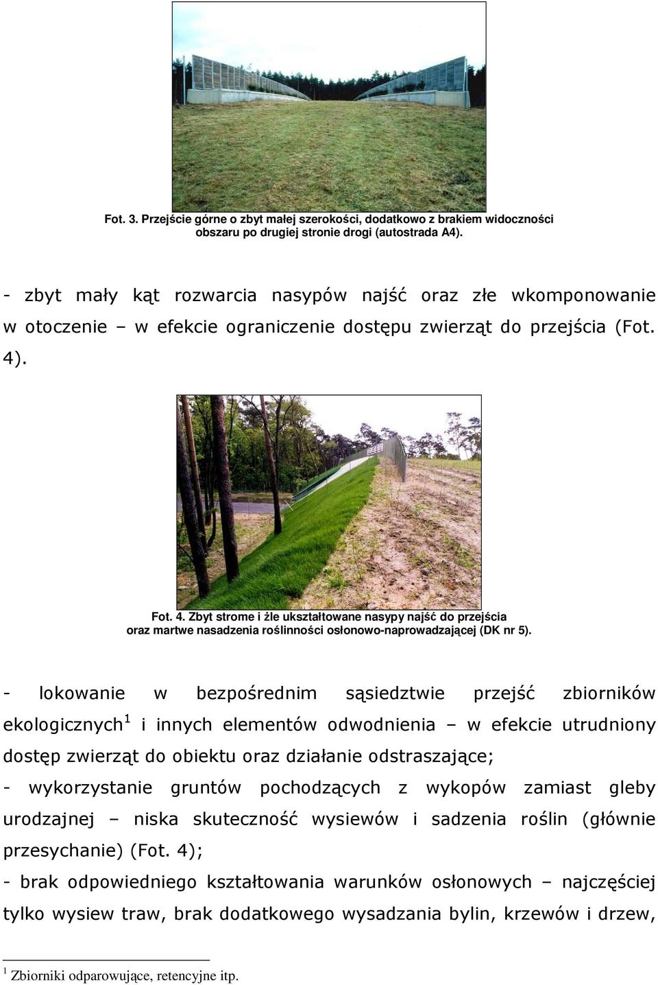 . Fot. 4. Zbyt strome i Ŝle ukształtowane nasypy najść do przejścia oraz martwe nasadzenia roślinności osłonowo-naprowadzającej (DK nr 5).