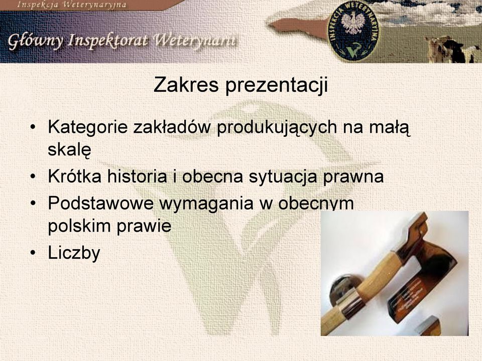 historia i obecna sytuacja prawna