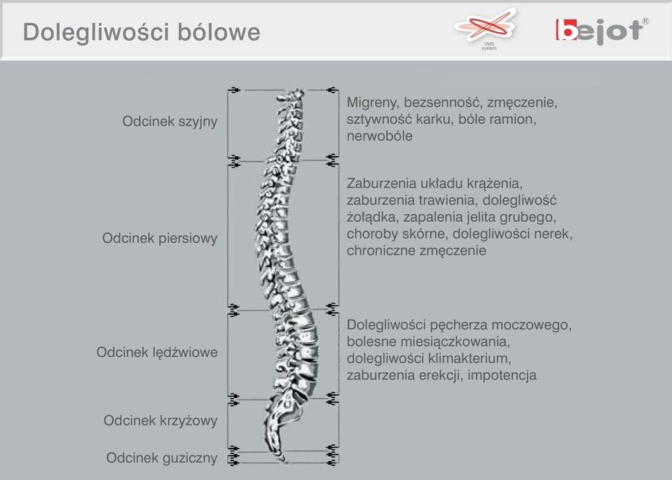 grubego, choroby skórne, dolegliwoêci nerek, chroniczne zm czenie Odcinek l dêwiowe DolegliwoÊci p cherza