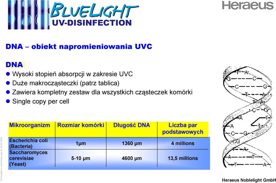 18 bluelight uv dis Mikroorganizm Rozmiar komórki Długość DNA Liczba par podstawowych Escherichia