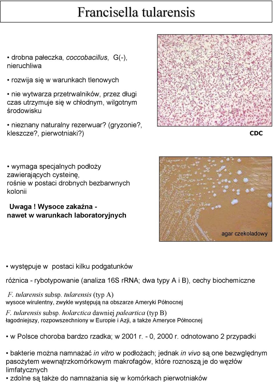 Wysoce zakaźna - nawet w warunkach laboratoryjnych agar czekoladowy występuje w postaci kilku podgatunków różnica - rybotypowanie (analiza 16S rrna; dwa typy A i B), cechy biochemiczne F.