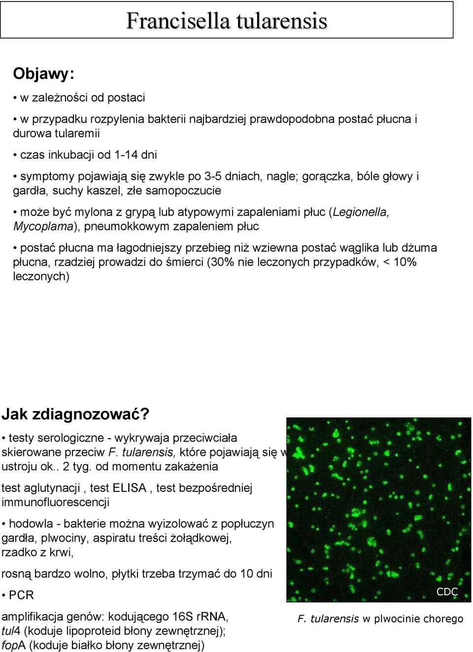 łagodniejszy przebieg niż wziewna postać wąglika lub dżuma płucna, rzadziej prowadzi do śmierci (30% nie leczonych przypadków, < 10% leczonych) Jak zdiagnozować?