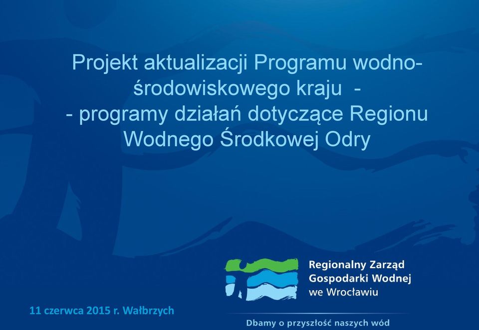 programy działań dotyczące Regionu