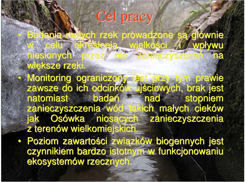 Monitoring ograniczony jest przy tym prawie zawsze do ich odcinków w ujściowych, brak jest natomiast badań nad stopniem