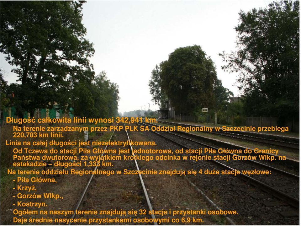Od Tczewa do stacji Piła Główna jest jednotorowa, od stacji Piła Główna do Granicy Państwa dwutorowa, za wyjątkiem krótkiego odcinka w rejonie stacji Gorzów Wlkp.