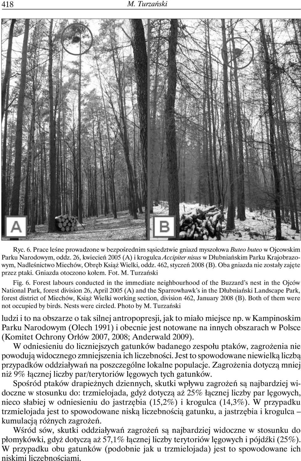 Gniazda otoczono kołem. Fot. M. Turzański Fig. 6.