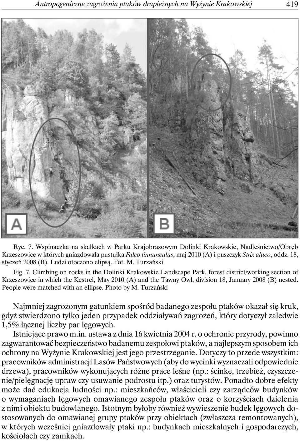 18, styczeń 2008 (B). Ludzi otoczono elipsą. Fot. M. Turzański Fig. 7.