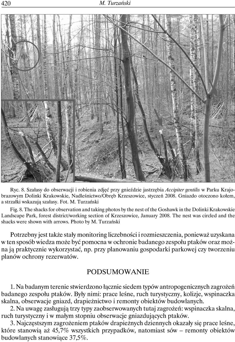 The shacks for observation and taking photos by the nest of the Goshawk in the Dolinki Krakowskie Landscape Park, forest district/working section of Krzeszowice, January 2008.