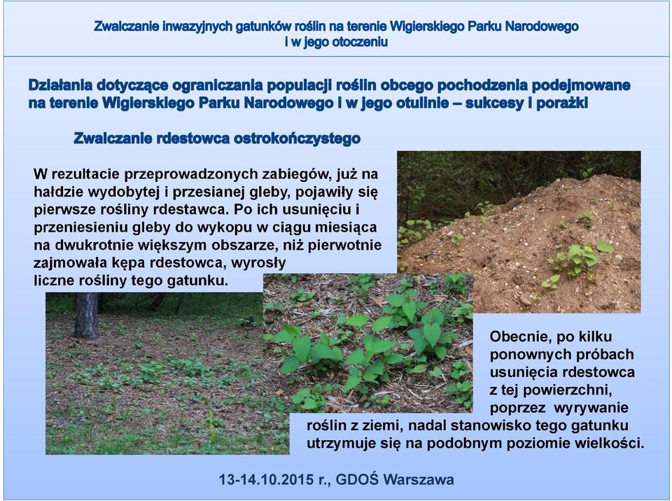 Po ich usunięciu i przeniesieniu gleby do wykopu w ciągu miesiąca na dwukrotnie większym obszarze, niż pierwotnie