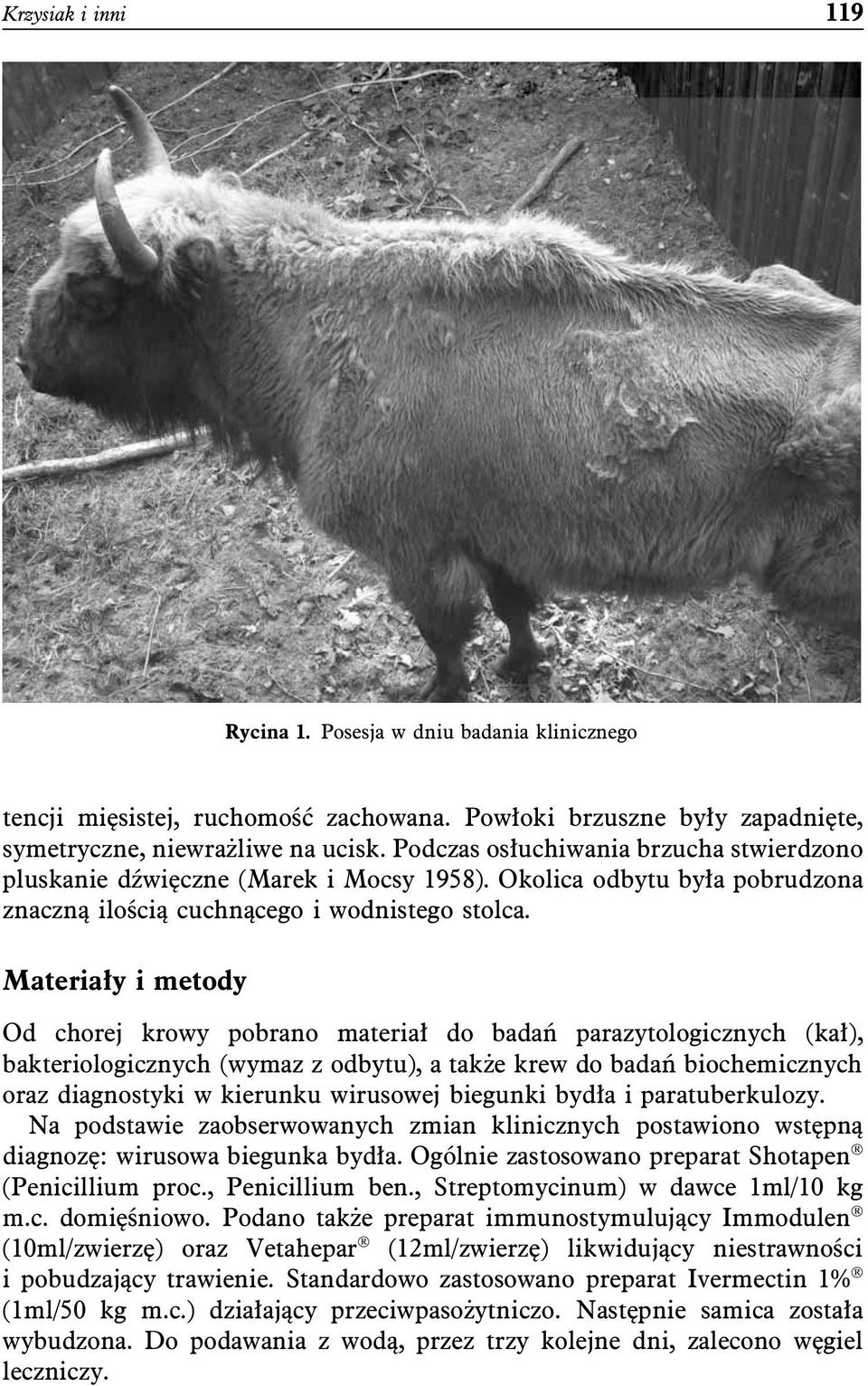 Materiały i metody Od chorej krowy pobrano materiał do badań parazytologicznych (kał), bakteriologicznych (wymaz z odbytu), a także krew do badań biochemicznych oraz diagnostyki w kierunku wirusowej