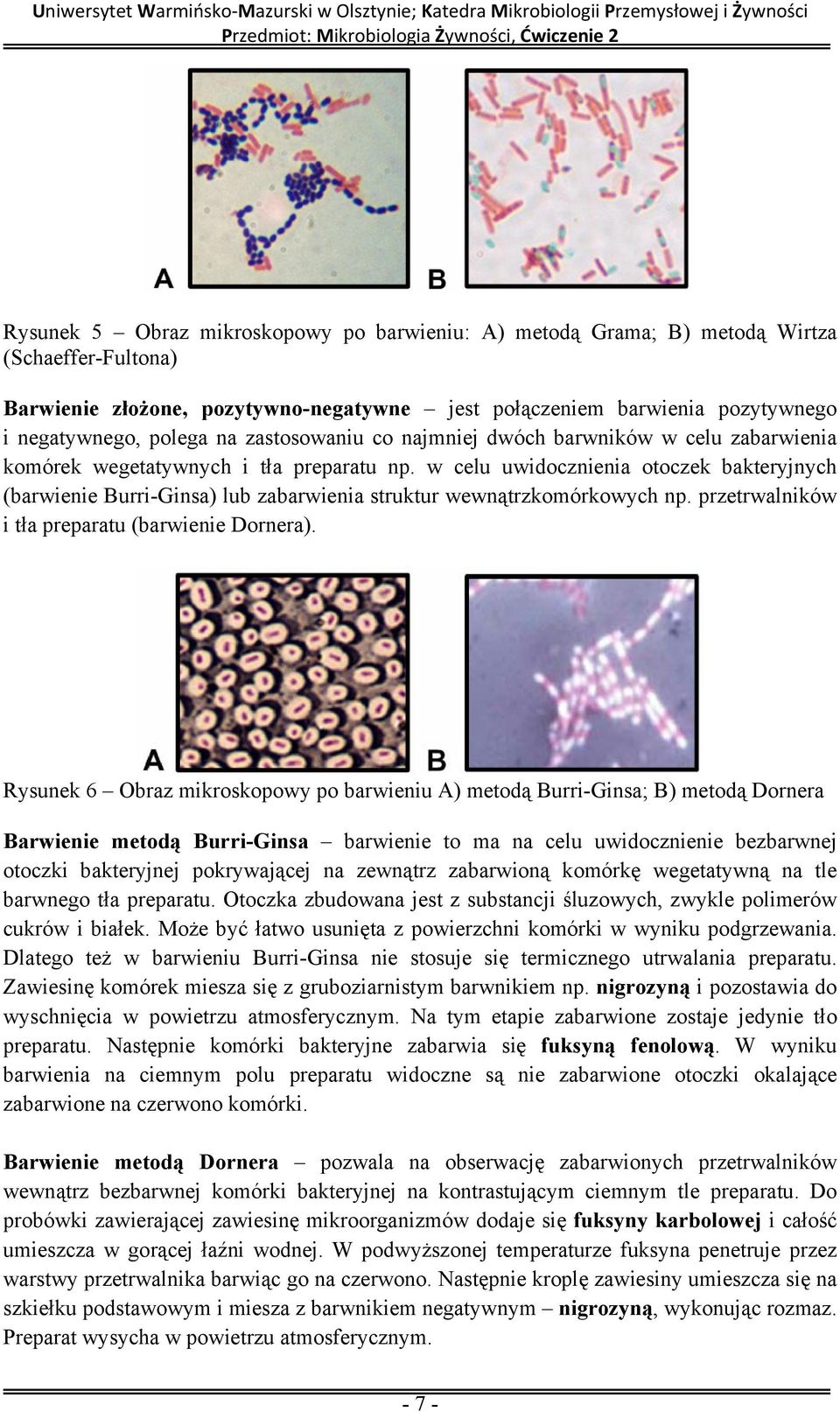 w celu uwidocznienia otoczek bakteryjnych (barwienie Burri-Ginsa) lub zabarwienia struktur wewnątrzkomórkowych np. przetrwalników i tła preparatu (barwienie Dornera).