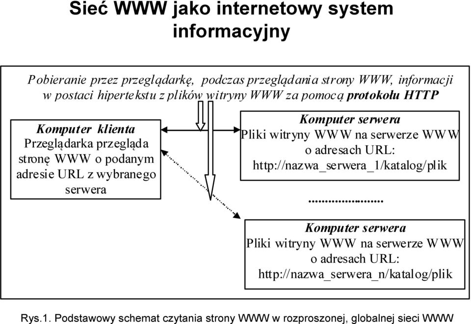 Komputer serwera Pliki witryny WWW na serwerze WWW o adresach URL: http://nazwa_serwera_1/katalog/plik.