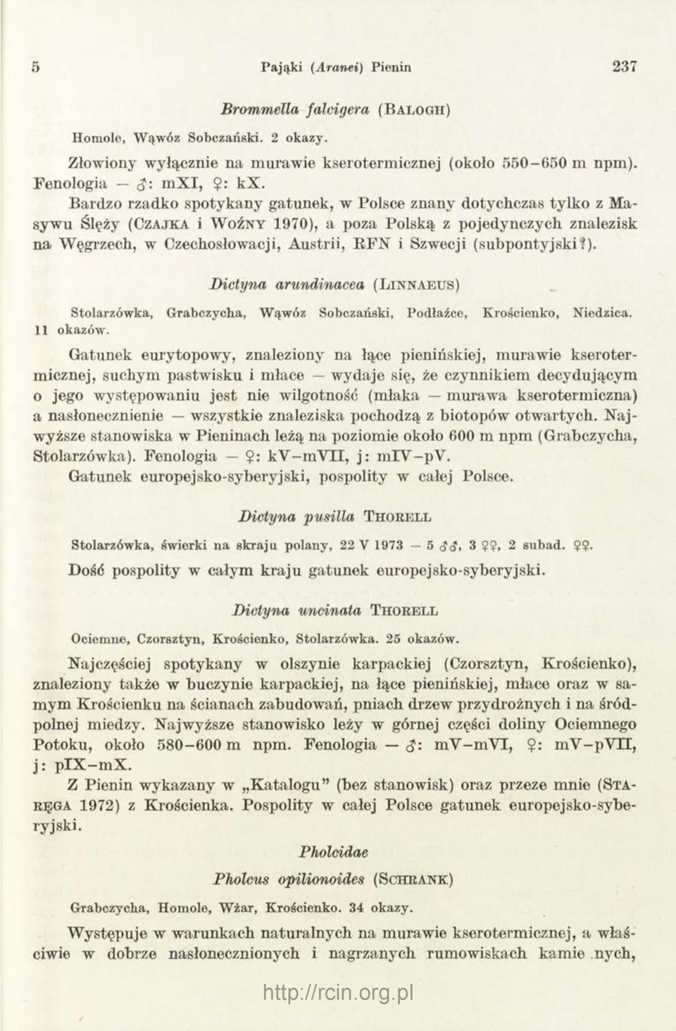 i Szwecji (subpontyjski?). Diety na arundinacea (L i n n a e u s ) Stolarzówka, Grabczycha, Wąwóz Sobczański, Podłaźce, Krościenko, Niedzica. 11 okazów.