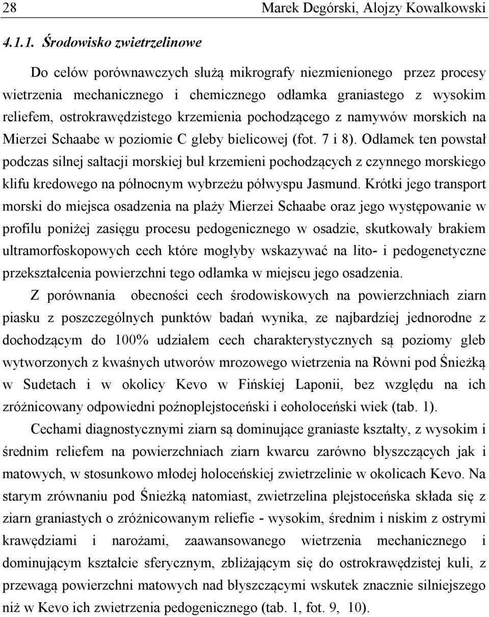 krzemienia pochodzącego z namywów morskich na Mierzei Schaabe w poziomie C gleby bielicowej (fot. 7 i 8).