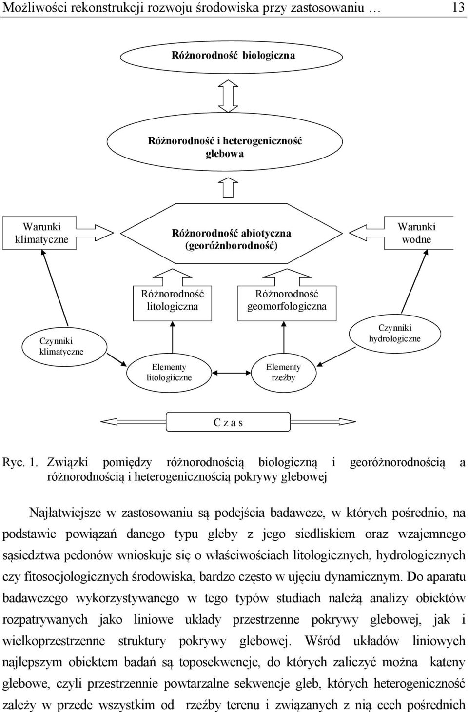 Związki pomiędzy różnorodnością biologiczną i georóżnorodnością a różnorodnością i heterogenicznością pokrywy glebowej Najłatwiejsze w zastosowaniu są podejścia badawcze, w których pośrednio, na
