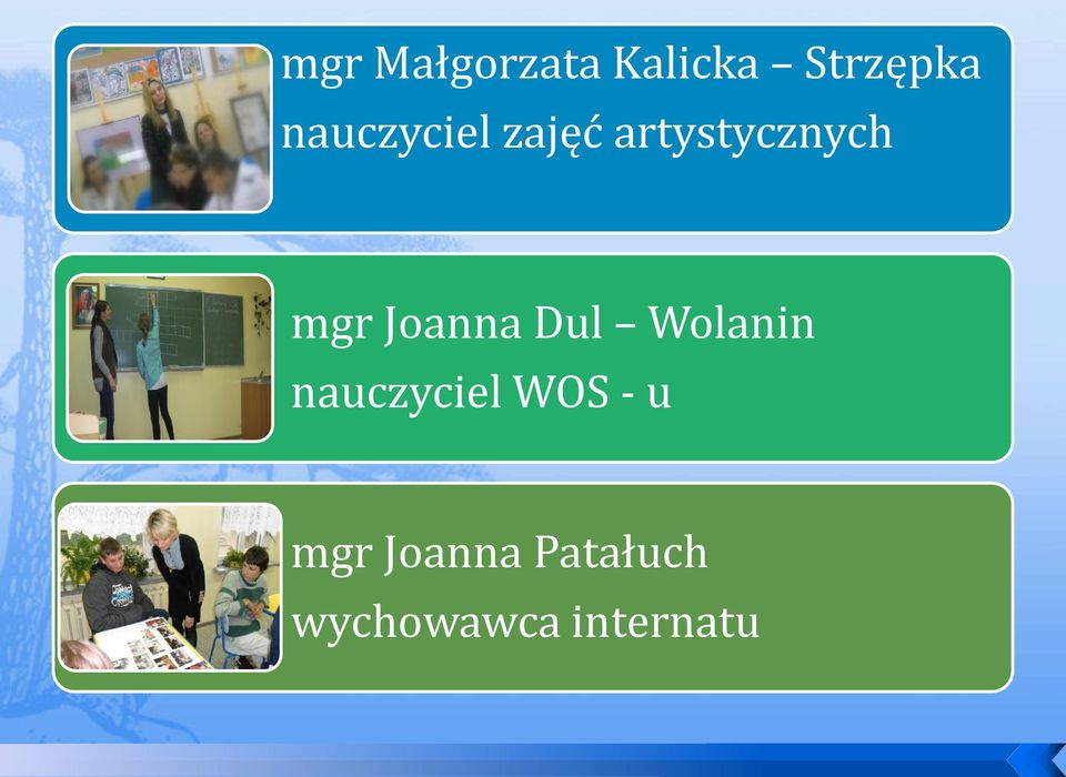 Joanna Dul Wolanin nauczyciel WOS -