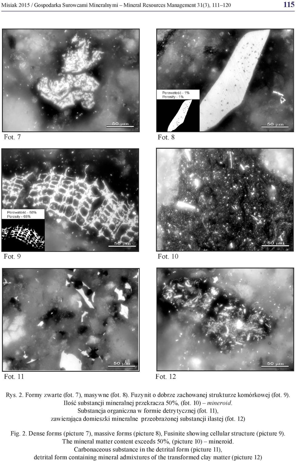 11), zawierająca domieszki mineralne przeobrażonej substancji ilastej (fot. 12) Fig. 2.