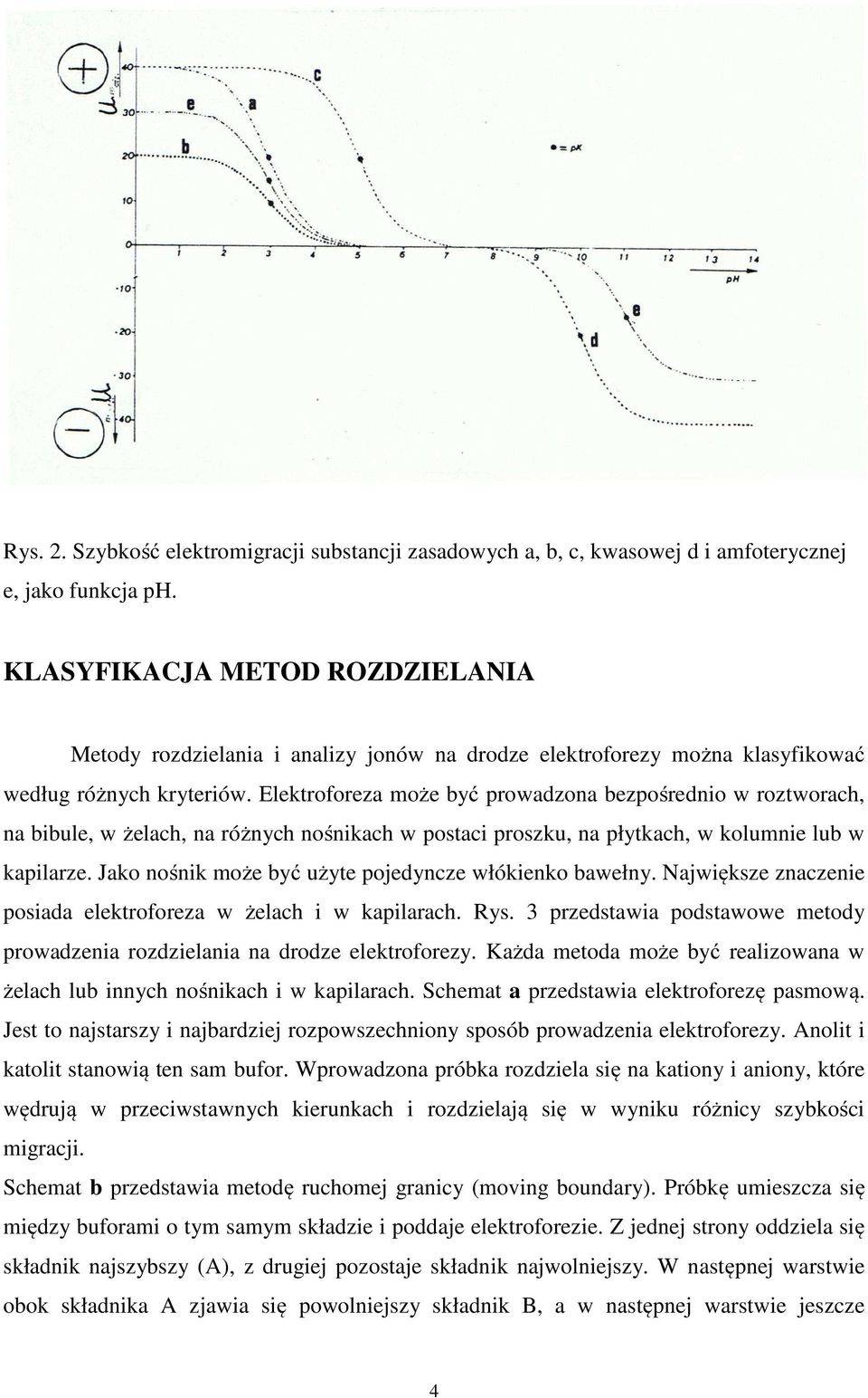 Elektroforeza może być prowadzona bezpośrednio w roztworach, na bibule, w żelach, na różnych nośnikach w postaci proszku, na płytkach, w kolumnie lub w kapilarze.