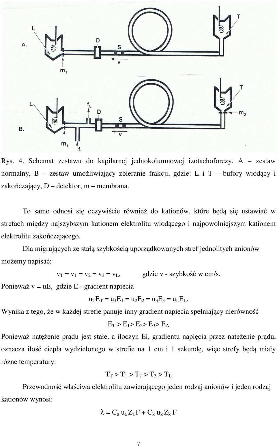 Dla migrujących ze stałą szybkością uporządkowanych stref jednolitych anionów możemy napisać: v T = v 1 = v 2 = v 3 = v L, gdzie v - szybkość w cm/s.