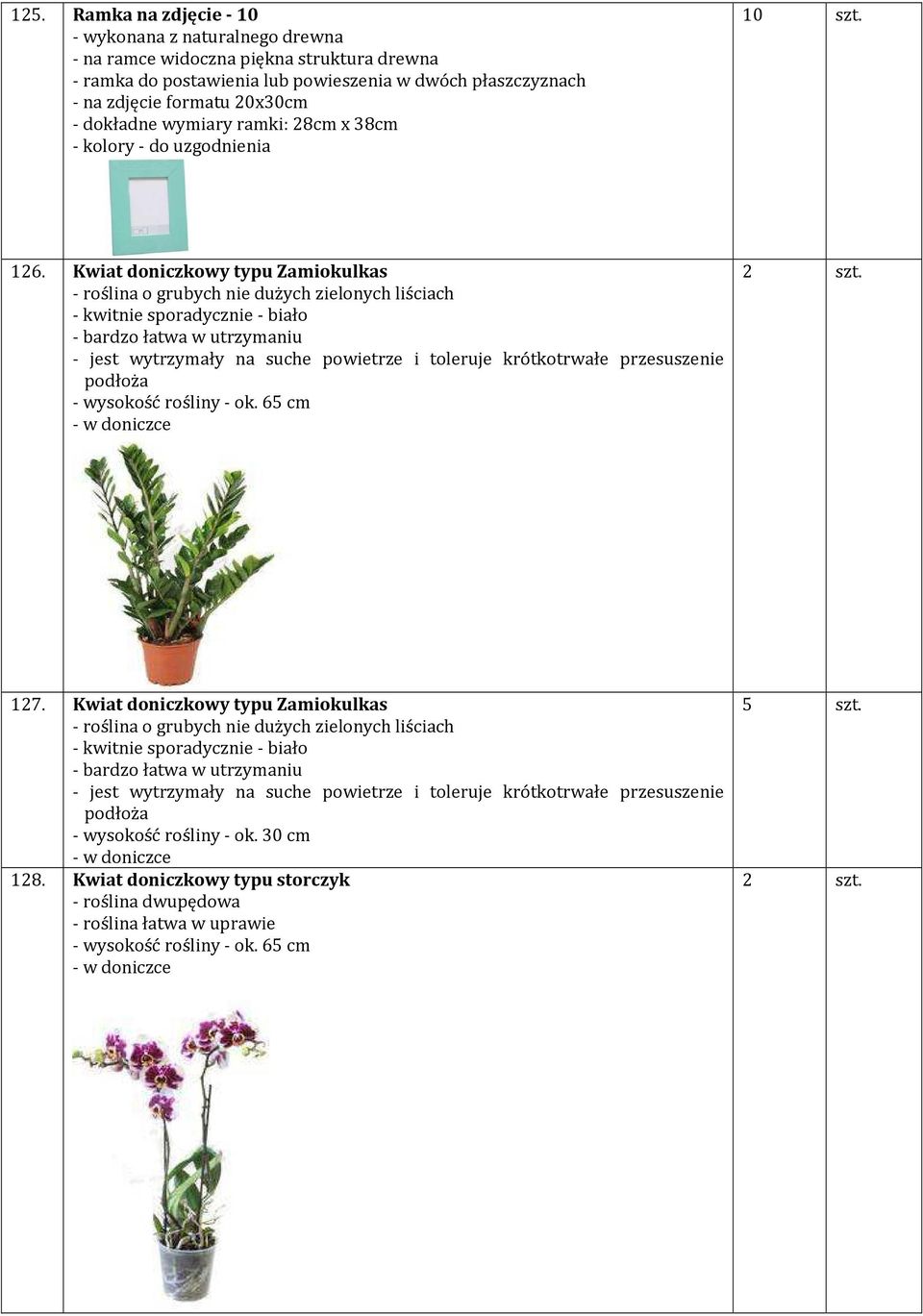 Kwiat doniczkowy typu Zamiokulkas - roślina o grubych nie dużych zielonych liściach - kwitnie sporadycznie - biało - bardzo łatwa w utrzymaniu - jest wytrzymały na suche powietrze i toleruje