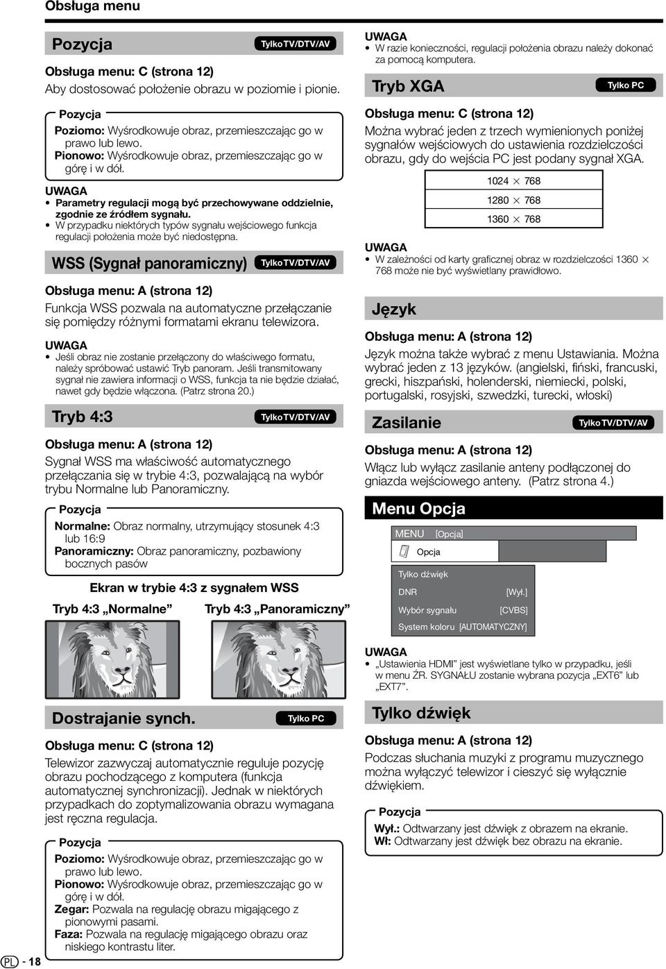 WSS (Sygnał panoramiczny) Obsługa menu: A (strona ) Funkcja WSS pozwala na automatyczne przełączanie się pomiędzy różnymi formatami ekranu telewizora.
