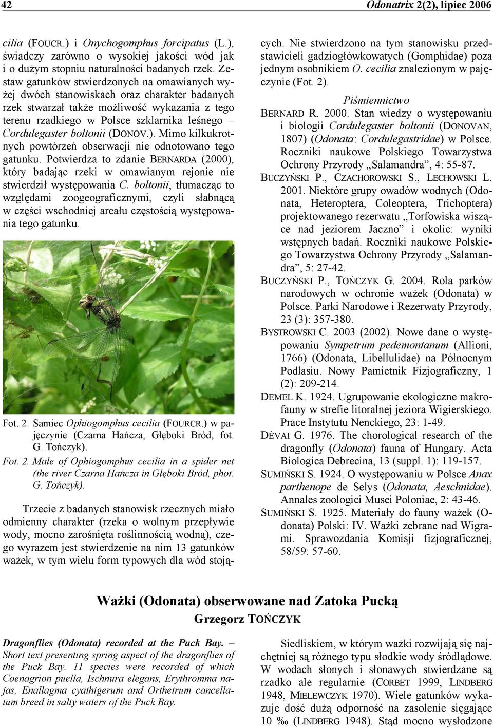 boltonii (DONOV.). Mimo kilkukrotnych powtórzeń obserwacji nie odnotowano tego gatunku. Potwierdza to zdanie BERNARDA (2000), który badając rzeki w omawianym rejonie nie stwierdził występowania C.