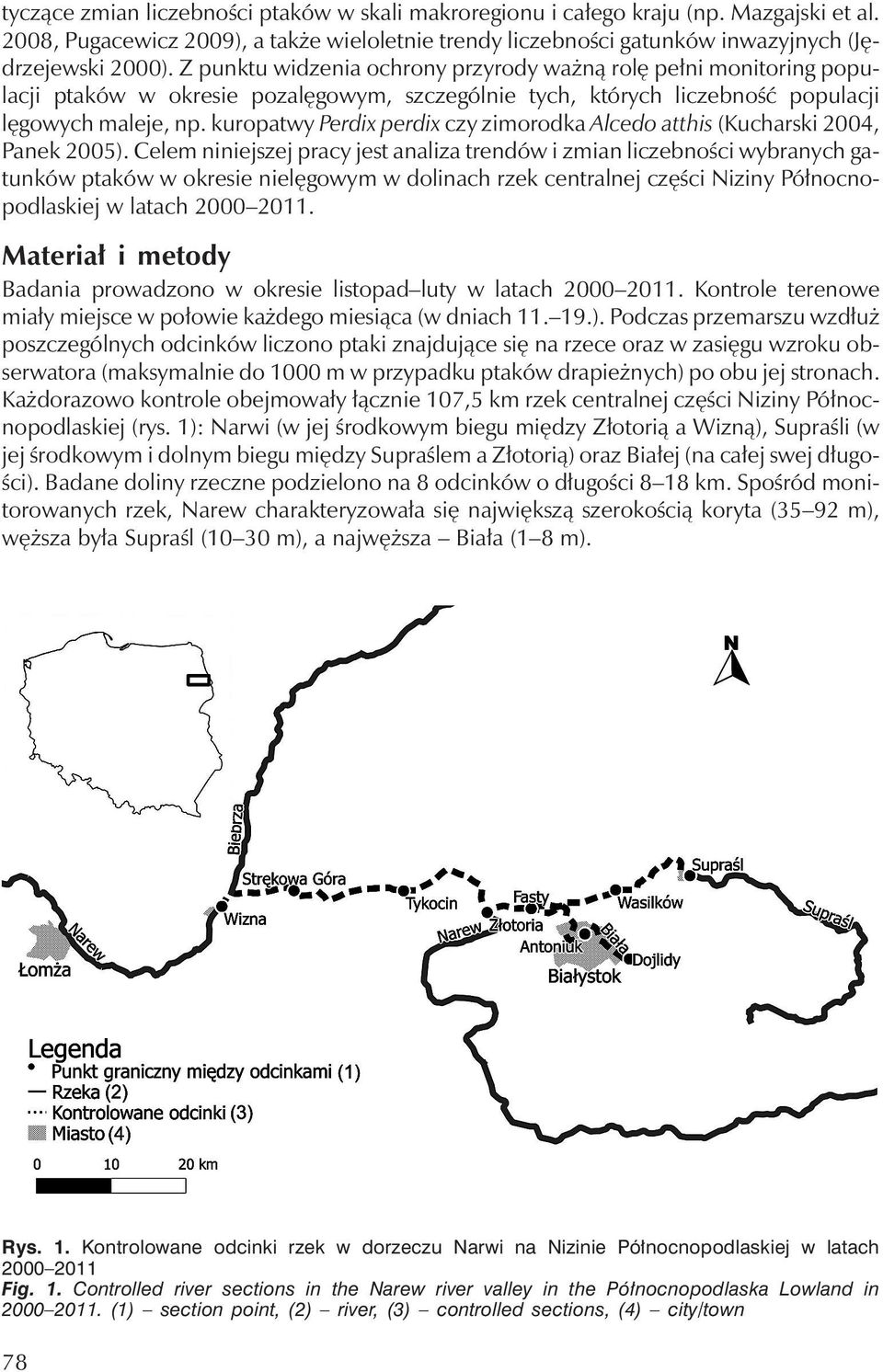 kuropatwy Perdix perdix czy zimorodka Alcedo atthis (Kucharski 2004, Panek 2005).