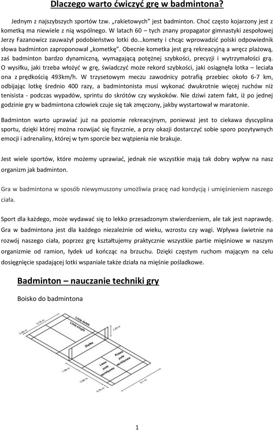 Obecnie kometka jest grą rekreacyjną a wręcz plażową, zaś badminton bardzo dynamiczną, wymagającą potężnej szybkości, precyzji i wytrzymałości grą.