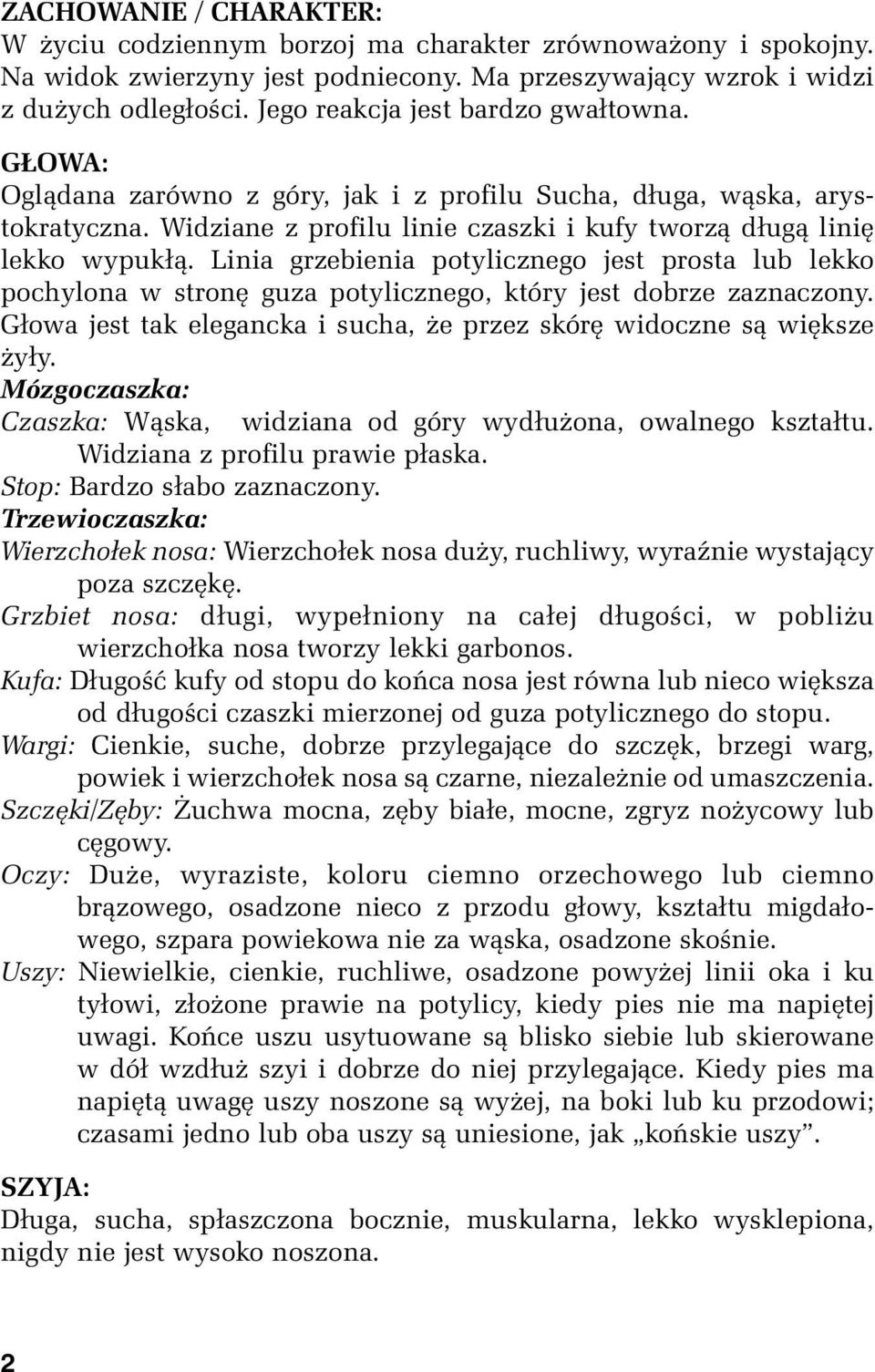 Linia grzebienia potylicznego jest prosta lub lekko pochylona w stronę guza potylicznego, który jest dobrze zaznaczony. Głowa jest tak elegancka i sucha, że przez skórę widoczne są większe żyły.