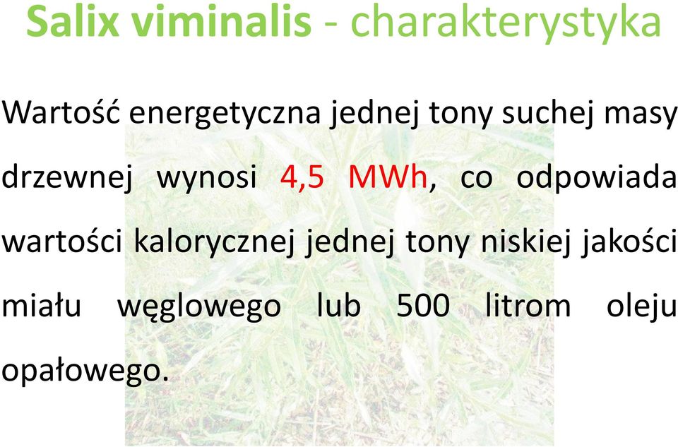 4,5 MWh, co odpowiada wartości kalorycznej jednej