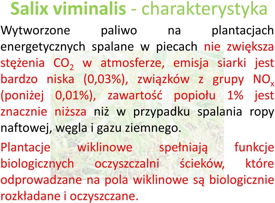 zawartość popiołu 1% jest znacznie niższa niż w przypadku spalania ropy naftowej,węglaigazu ziemnego.