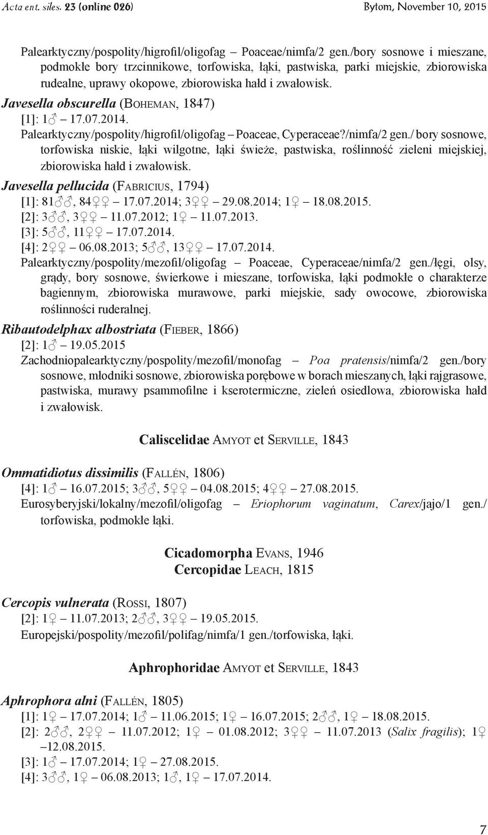Javesella obscurella (Boheman, 1847) [1]: 1 17.07.2014. Palearktyczny/pospolity/higrofil/oligofag Poaceae, Cyperaceae?/nimfa/2 gen.