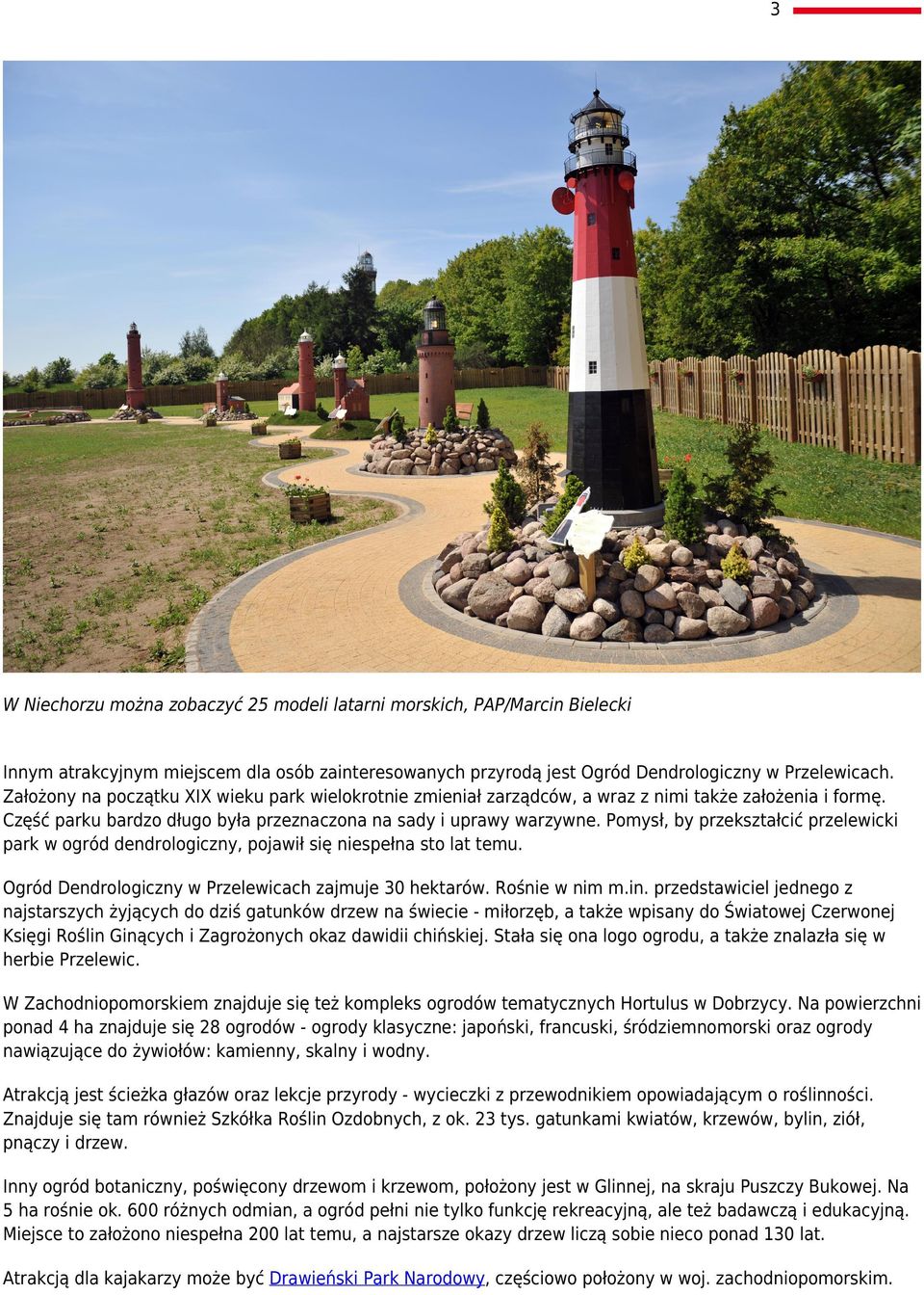Pomysł, by przekształcić przelewicki park w ogród dendrologiczny, pojawił się niespełna sto lat temu. Ogród Dendrologiczny w Przelewicach zajmuje 30 hektarów. Rośnie w nim m.in.