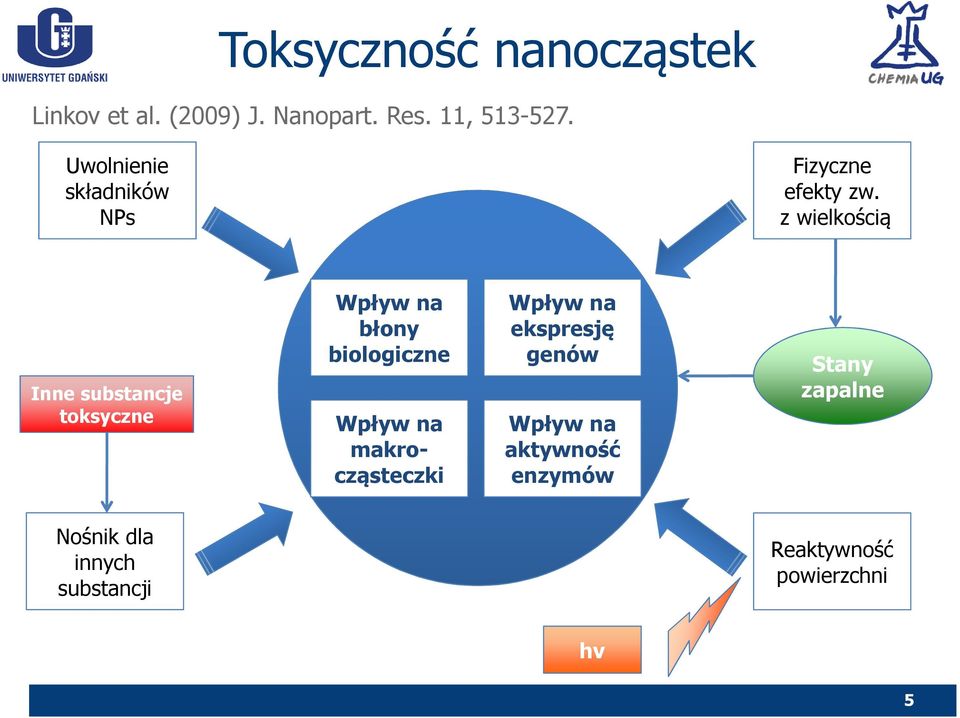 z wielkością Inne substancje toksyczne Wpływ na błony biologiczne Wpływ na