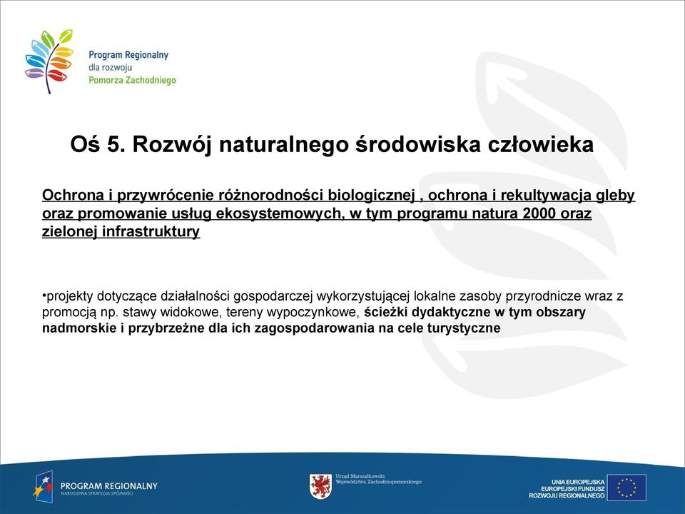 projekty dotyczące działalności gospodarczej wykorzystującej lokalne zasoby przyrodnicze wraz z promocją np.