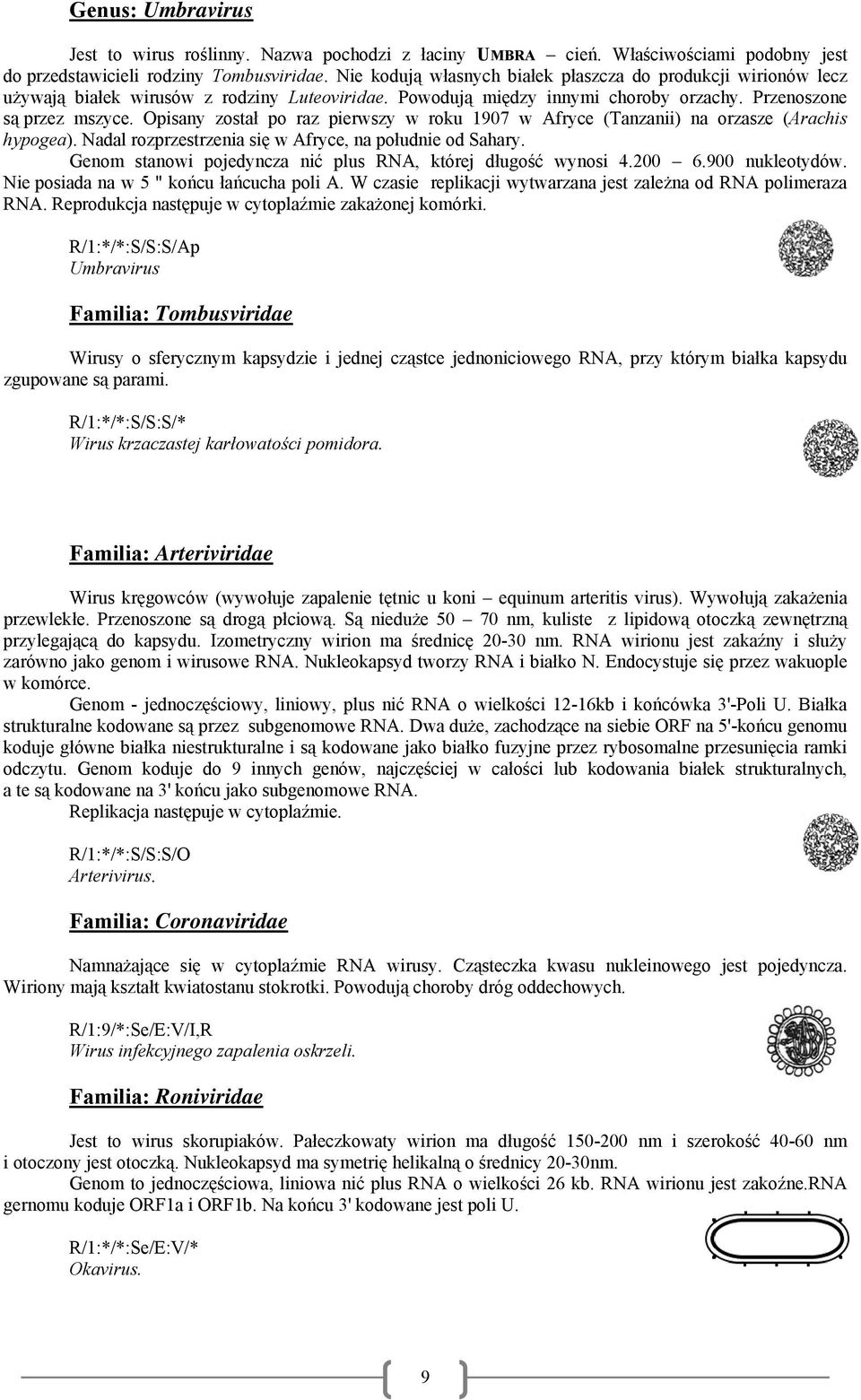 Opisany został po raz pierwszy w roku 1907 w Afryce (Tanzanii) na orzasze (Arachis hypogea). Nadal rozprzestrzenia się w Afryce, na południe od Sahary.