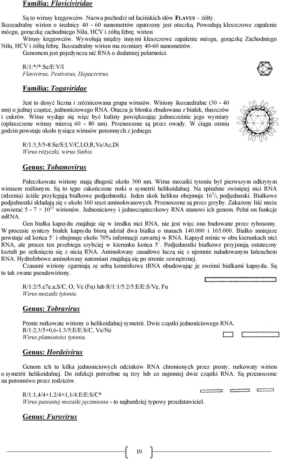 Wywołują między innymi kleszczowe zapalenie mózgu, gorączkę Zachodniego Nilu, HCV i żółtą febrę. Ikozeadralny wirion ma rozmiary 40-60 nanometrów.
