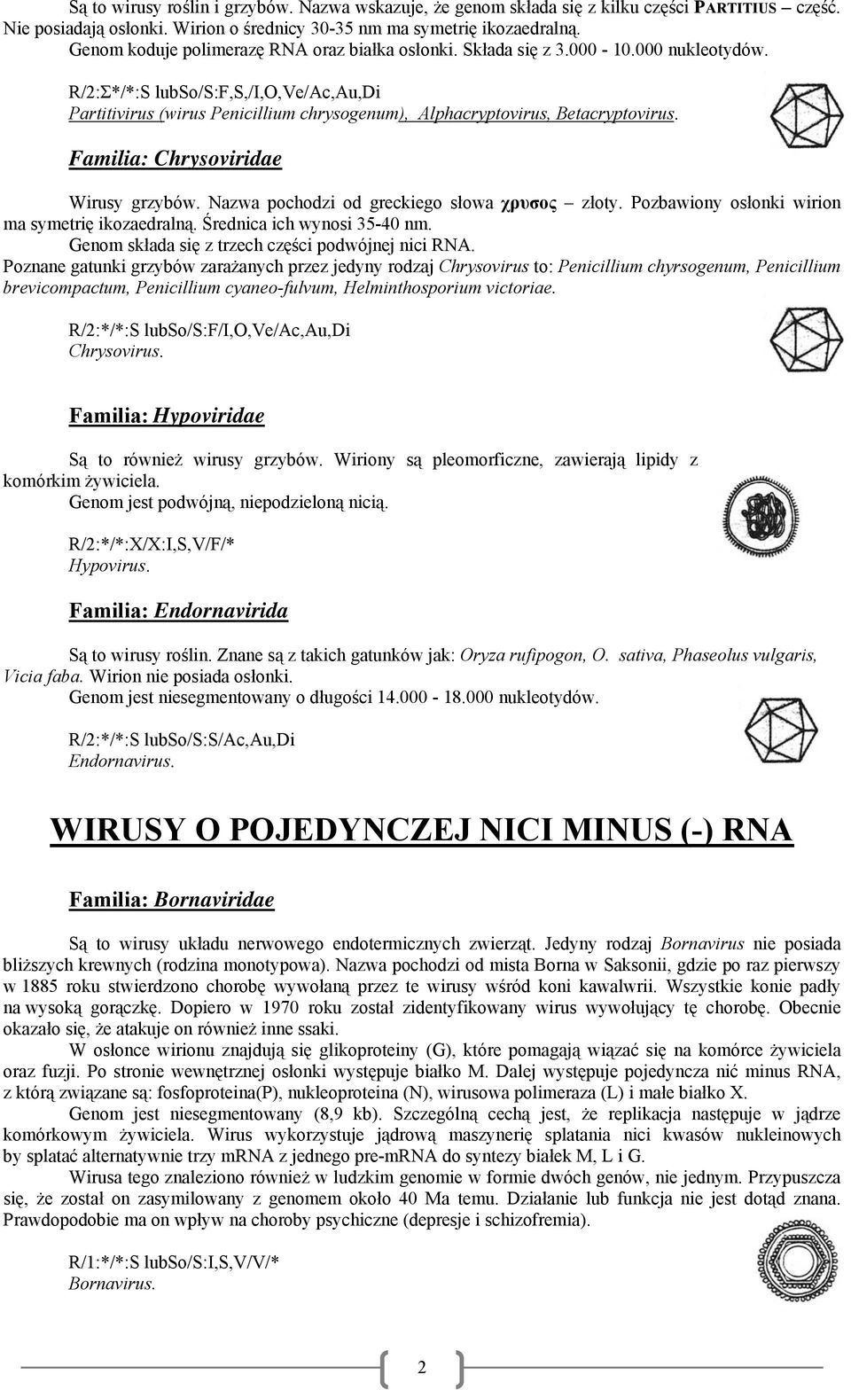 R/2:Σ*/*:S lubso/s:f,s,/i,o,ve/ac,au,di Partitivirus (wirus Penicillium chrysogenum), Alphacryptovirus, Betacryptovirus. Familia: Chrysoviridae Wirusy grzybów.