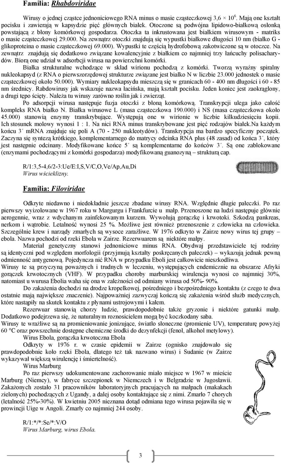Na zewnątrz otoczki znajdują się wypustki białkowe długości 10 nm (białko G - glikoproteina o masie cząsteczkowej 69.000). Wypustki te częścią hydrofobową zakotwiczone są w otoczce.
